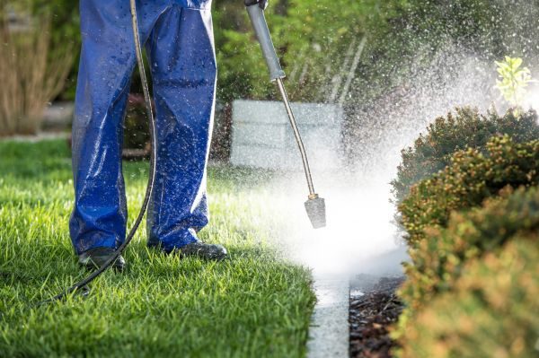 Curb Cleaning in Orem