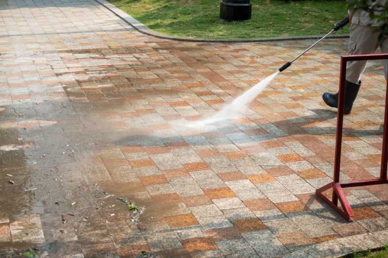 Paver Walkway Cleaning